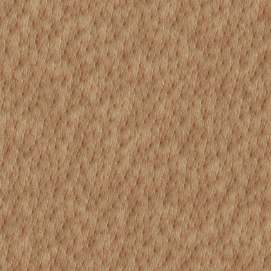 Texture Synthesis using Neural Cellular Automata